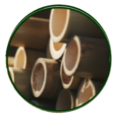 sogreen-bambu sogreen-bambu