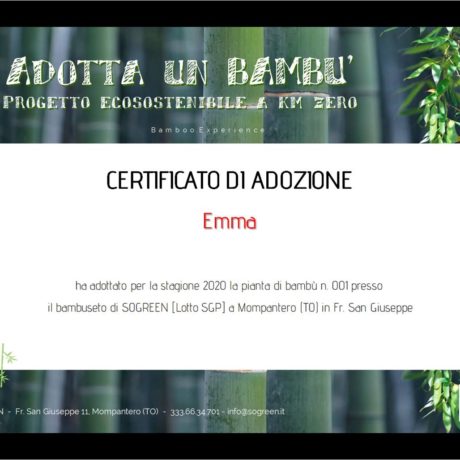 SOGREEN adotta un bambù - progetto ecosostenibile a km-zero