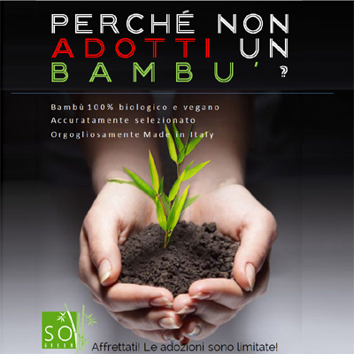 SOGREEN adotta un bambù - progetto ecosostenibile a km-zero