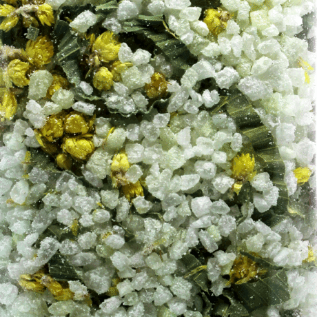 SOGREEN Sale da bagno "Rocciamelone" tonificante al bambù e fiori di campo, profumato al rosmarino